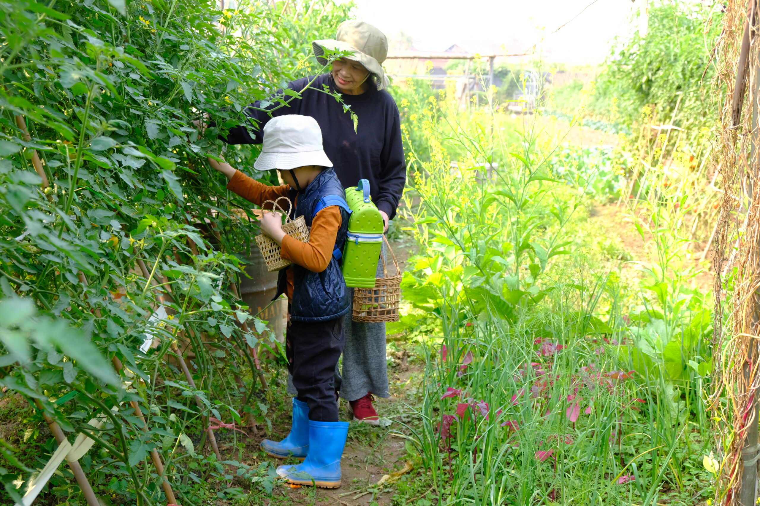 DISCOVER GIANG BIEN – THE BIGGEST TRADITIONAL FARMING VILLAGES IN HANOI