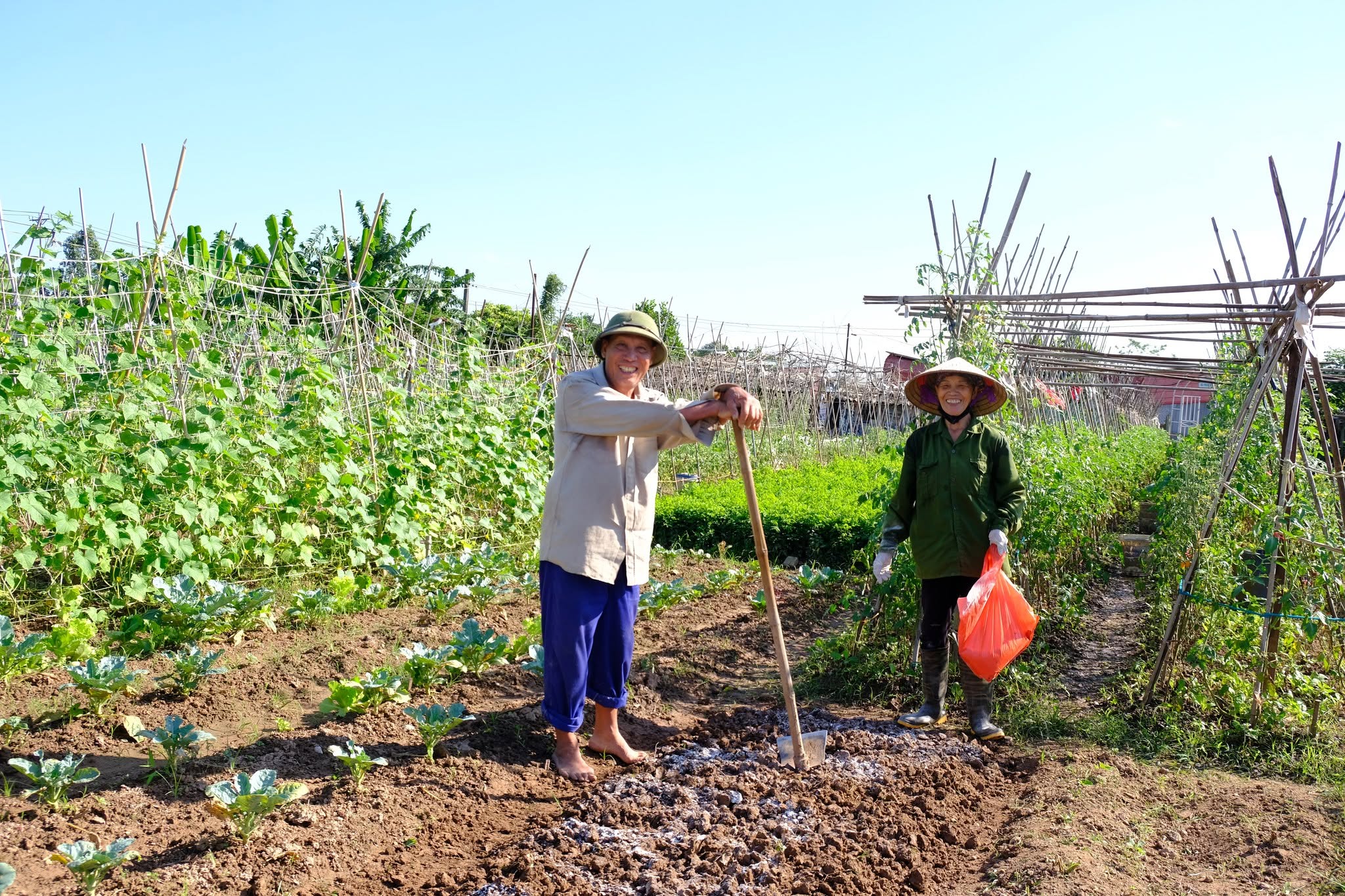 Phân biệt nông nghiệp truyền thống, nông nghiệp hiện đại và nông nghiệp bền vững